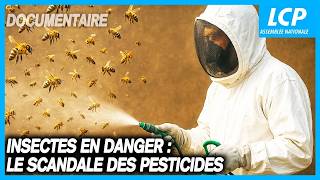 Insectes en danger : le scandale des pesticides