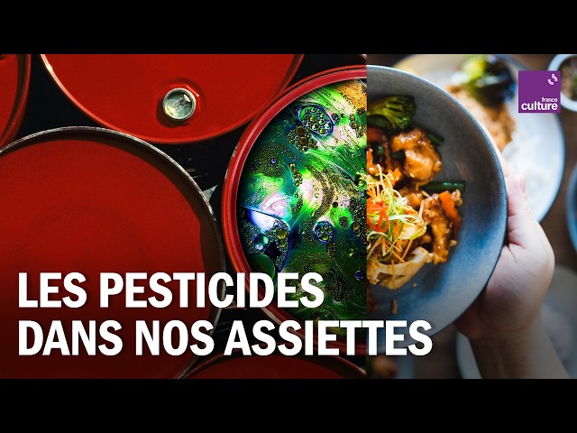 Peut-on nourrir la France sans pesticides ?