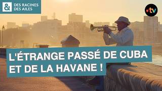 Pourquoi il faut absolument découvrir les Caraïbes ?