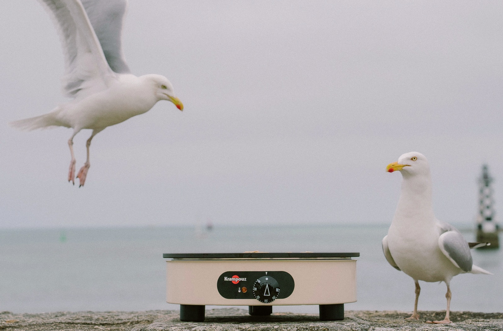 La madeleine de Proust a la forme d’une crêpière