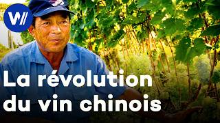 Chine : Le nouveau géant mondial du vin ? Des vignes et des hommes