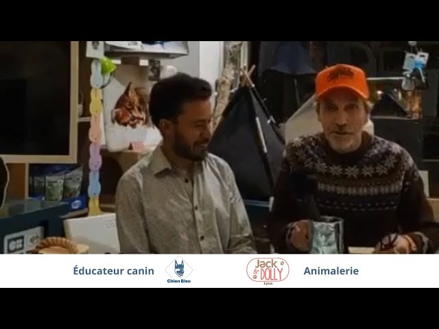 Les besoins fondamentaux des chiens