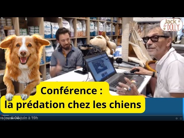 La prédation chez les chiens