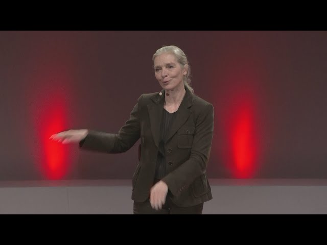 Les leçons de vie que les chevaux nous offrent