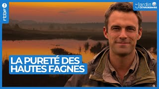 La pureté des Hautes Fagnes