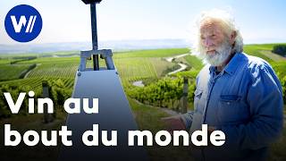 Le vin néo-zélandais : un vignoble au milieu du Pacifique