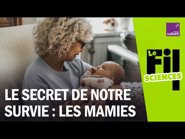 Les grands-mères, ces « superhéroïnes » de l&rsquo;évolution !