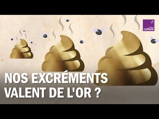 Pipi, caca : des ressources que l&rsquo;on gaspille depuis 150 ans
