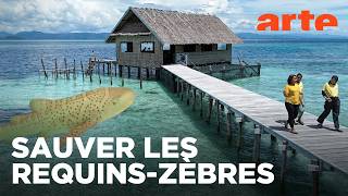 Valoriser la protection de la nature