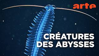 Abysses, la face cach&eacute;e des oc&eacute;ans