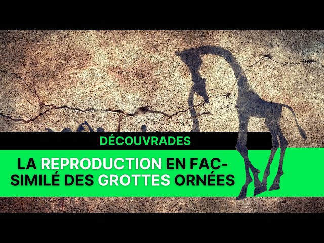 La reproduction en fac-simil&eacute; des grottes orn&eacute;es