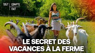 Été : le succès des vacances gratuites à la ferme