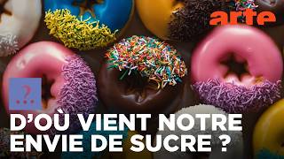 Est-il vrai que nous avons toujours été accros au sucre ?