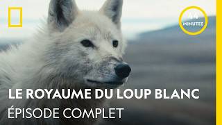 Le royaume du loup blanc - La qu&ecirc;te