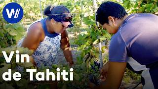 Le secret du vin de corail à Tahiti – Des vignes et des hommes