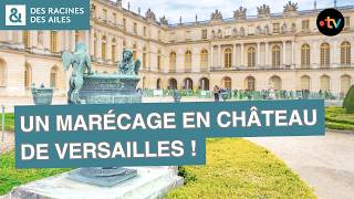 Les innovations exceptionnelles du ch&acirc;teau de Versailles !