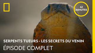 Serpents tueurs – Les secrets du venin