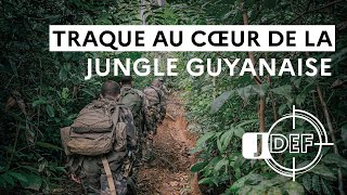 Traque au c&oelig;ur de la jungle guyanaise