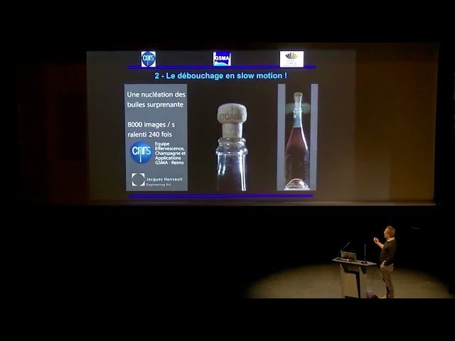 L&rsquo;odyss&eacute;e d&rsquo;une bulle de champagne