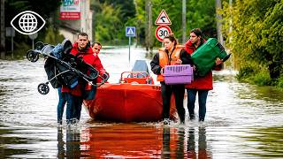 Montée des eaux : la Camargue face à une menace historique