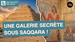 Quelles d&eacute;couvertes ont &eacute;t&eacute; faites &agrave; Saqqara ?