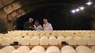 Roquefort : fromages et cueilleurs de vent