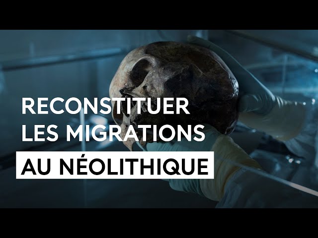 Ce que la paleog&eacute;n&eacute;tique nous apprend sur l&rsquo;Europe n&eacute;olithique