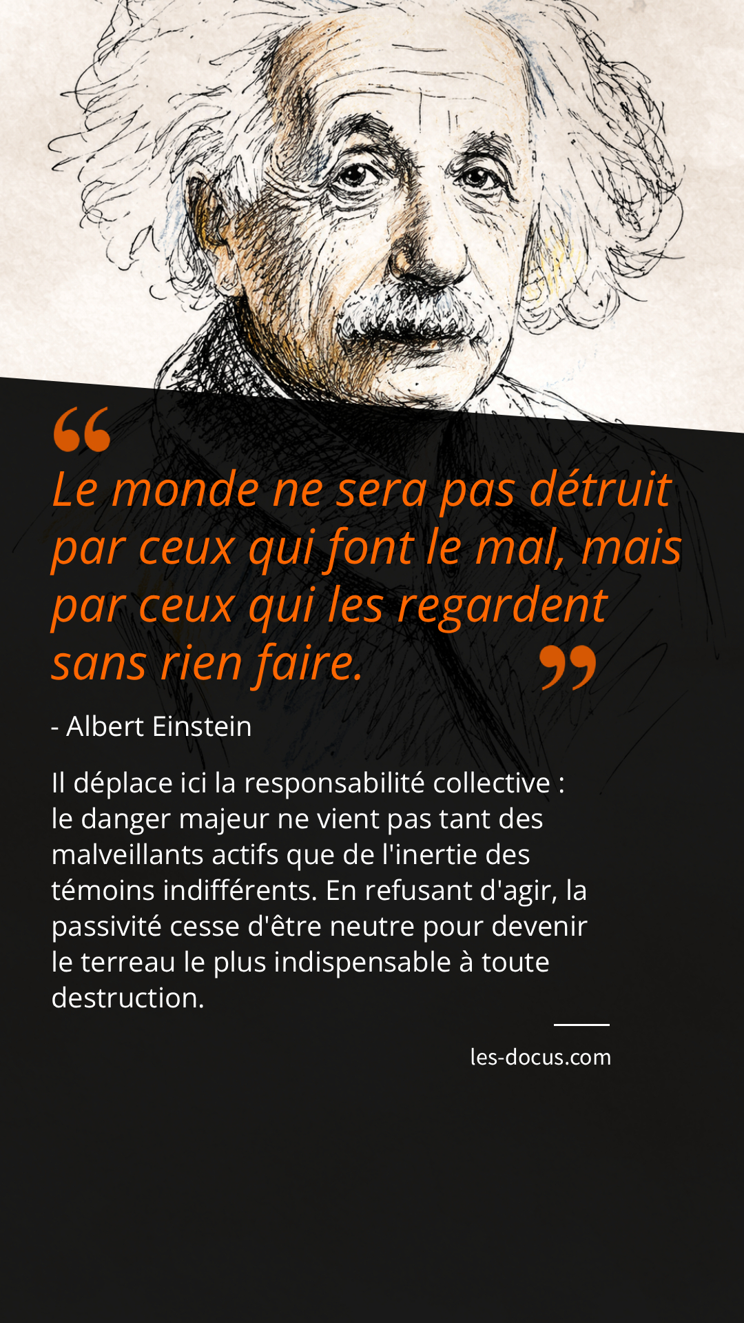 &laquo;&nbsp;Le monde ne sera pas d&eacute;truit par ceux qui font le mal, mais par ceux qui les regardent sans rien faire&nbsp;&raquo;